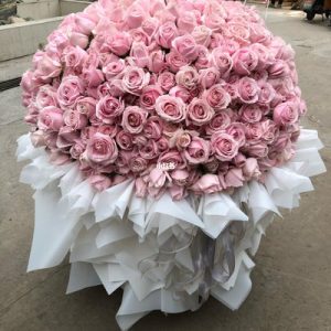 999朵玫瑰 永恒之花$1,600.00 999 roses, eternal flowers