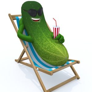 回家半天$450.00. 现价、$300.00. 现价 Go home for half a day