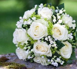 white roses