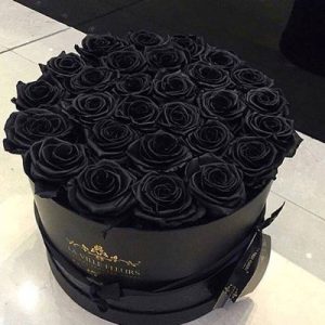 黑玫瑰$199.00 black rose